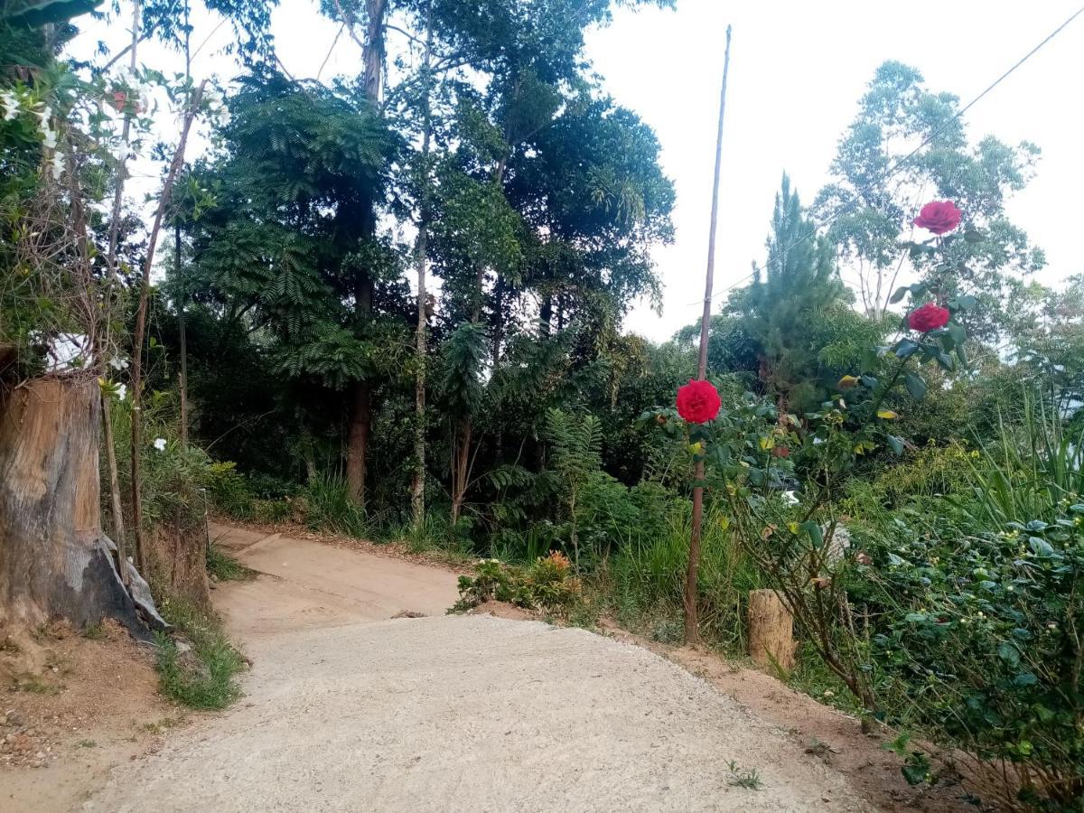 Apurvi Homestay Ella Exterior foto